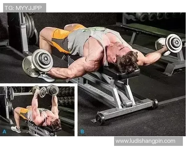 哑铃锻炼肌肉的科学方法与实用技巧全面解析