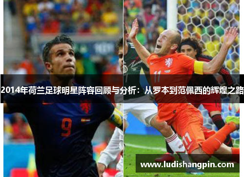 2014年荷兰足球明星阵容回顾与分析：从罗本到范佩西的辉煌之路