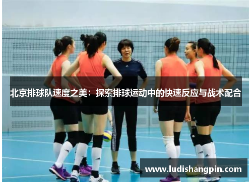 北京排球队速度之美：探索排球运动中的快速反应与战术配合